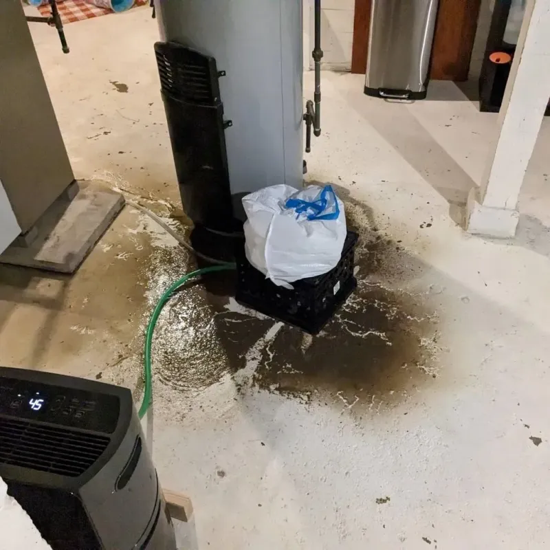 Sewage Backup Cleanup Service in Calverton, MD